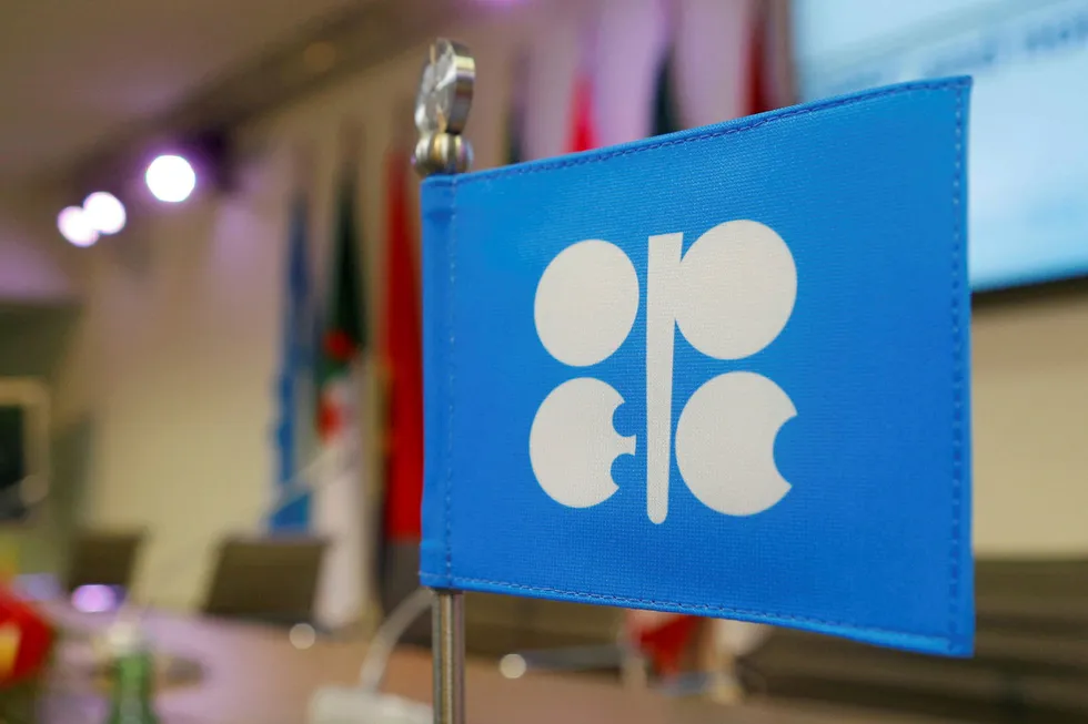 Flag day: Opec has elected a new secretary general