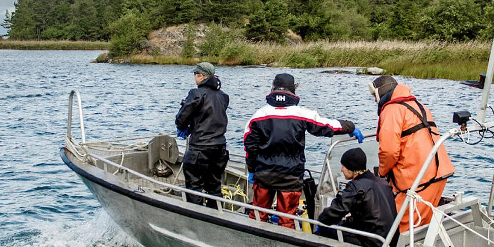 Også lenger nord i Østersjøen har det vært problemer. Her er et dykkerteam på vei ut for å ta prøver sør for Stockholm for noen år siden.