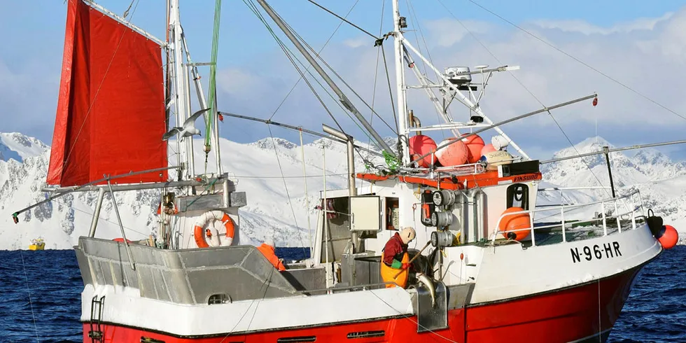 BRA FISKE: Fra Lofothavet søndag formiddag. «Solværøy» og skipper Svein-Arne Olsen fra Sandnessjøen er godt i gang med det som skal bli årets beste sjøvær for juksasjarken, vel 3.000 kilo skrei sløyd uten hode, levert hos Riksheim Fisk i Henningsvær.