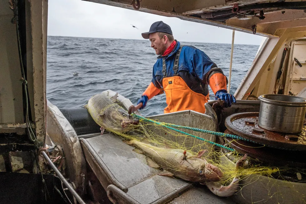 Rederiet Sjøfisk & Rorbuer fikk i 2020 et overtredelsesgebyr på nesten 36.000 kroner. Daglig leder Hugo Andre Olsen håper nå å få vurdert saken på nytt.