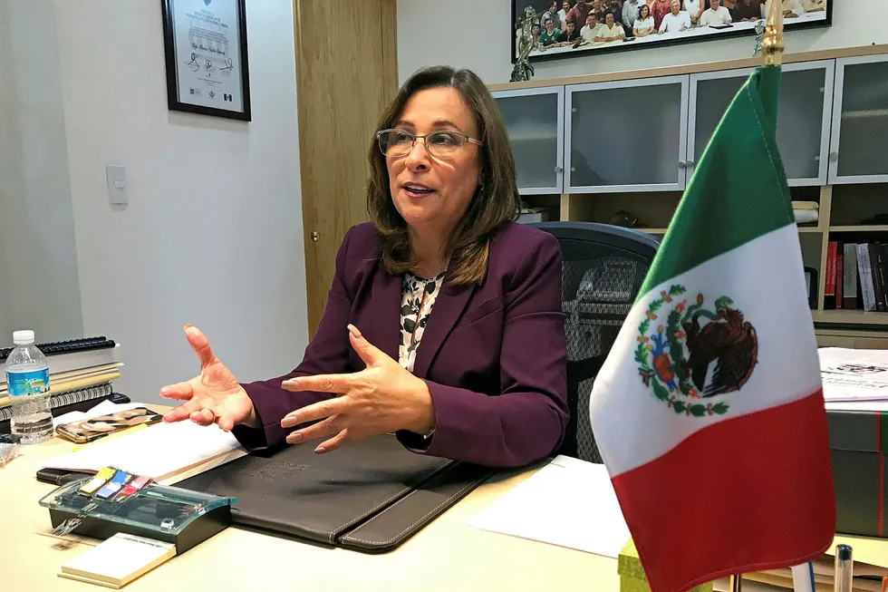 Energy policy: Congresswoman Rocio Nahle sees role for higher local content percentage