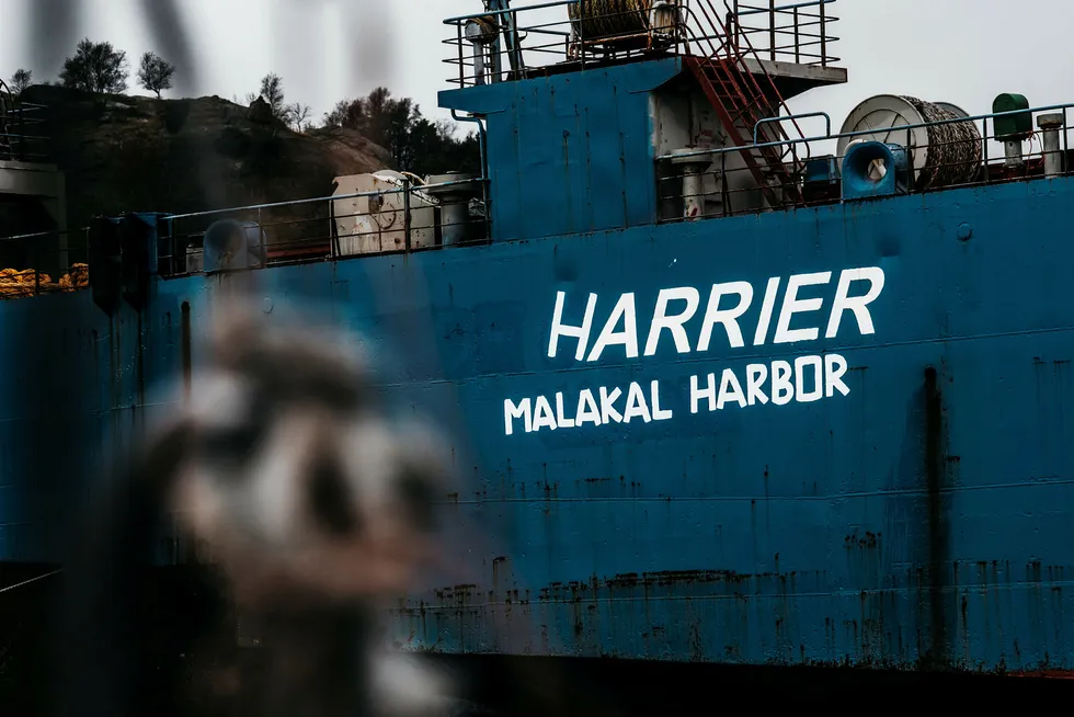 Lasteskipet «Harrier» får derfor ikke forlate Norge før eierne velger en virksomhet i et OECD-land med tillatelses til å hugge opp skip. Nå er det søkt om tillatelse til opphugging i Tyrkia, sier forfatteren. Foto: Tommy Ellingsen
