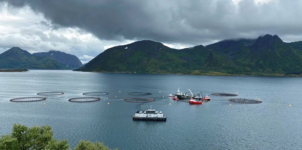 LAKSELEIE: Tre Ap-representanter har fremmet forslag om at regjeringen skal utrede muligheten for å åpne for tidsbegrenset utleie av oppdrettstillatelser i fiskeindustrien. Høyre er positiv til forslaget.