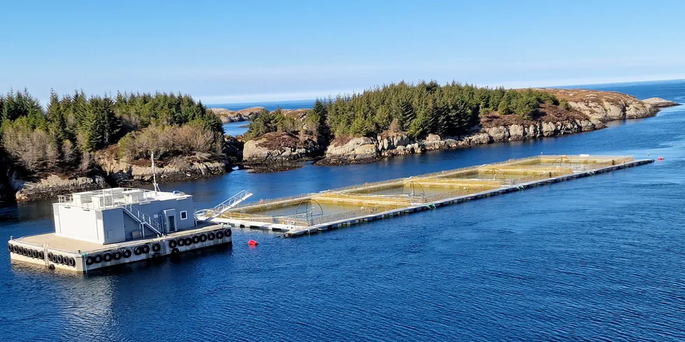 Guriøyna er en av fire anlegg som Landøy Fiskeoppdrett driver