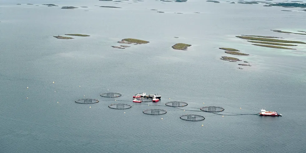 Vega Sjøfarm driver lakseproduksjon på lokaliteten Skogsholmen utenfor Vega på Helgeland