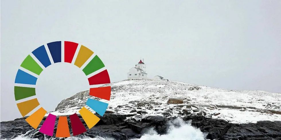 BÆREKRAFTSHJUL: FNs bærekraftsmål er på 16 punkter. Blant disse er å bevare og bruke hav og marine ressurser på en måte som fremmer bærekraftig utvikling, samt å sikre bærekraftig forbruks- og produksjonsmønstre.Foto: FN/PwC