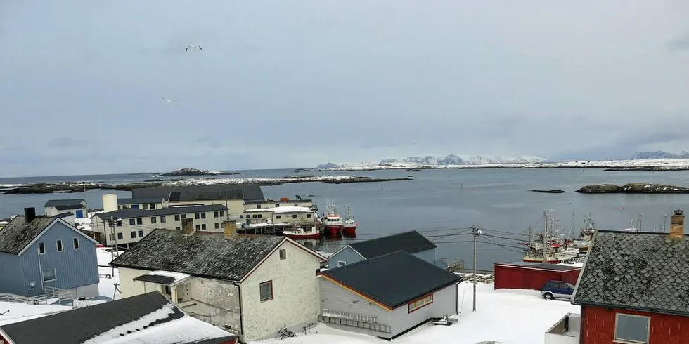 INGØYA: Fire faste ansatte og åtte sesongarbeidere mistet jobbene sine da fiskebruket ble lagt ned. Foto: Agnar Berg