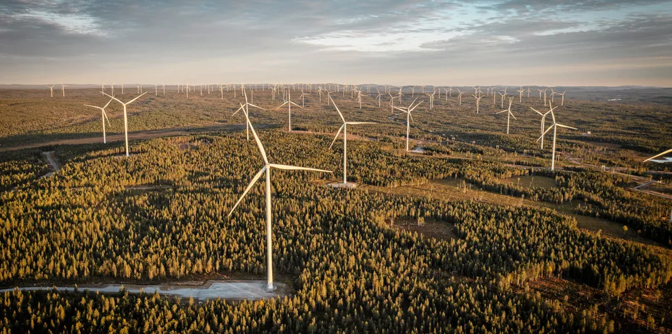 Markbygden 1101 wind farm in northern Sweden.