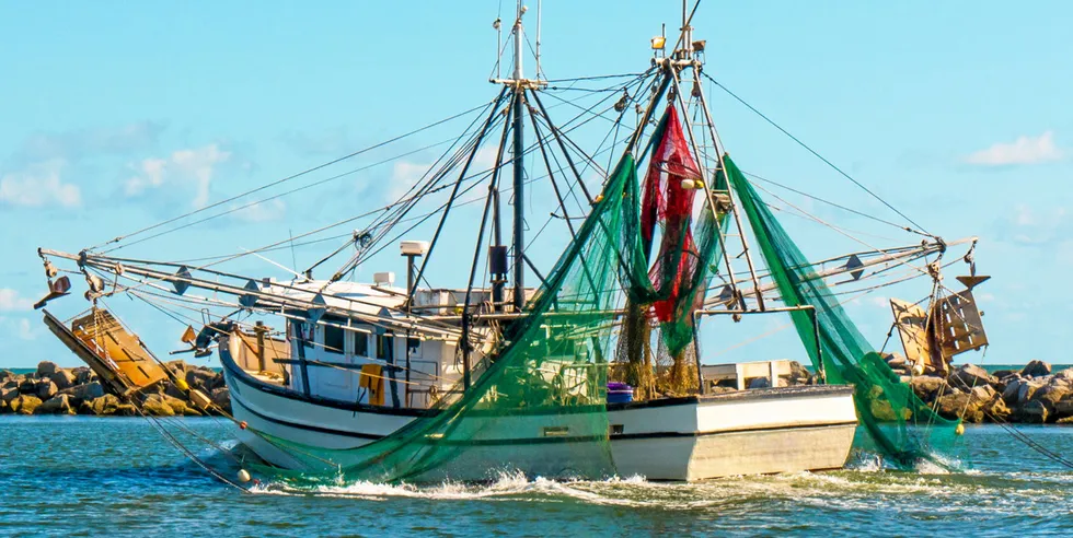 Shrimp fishermen in the US Gulf of Mexico believe their way of life is being crippled by the importation of foreign shrimp.