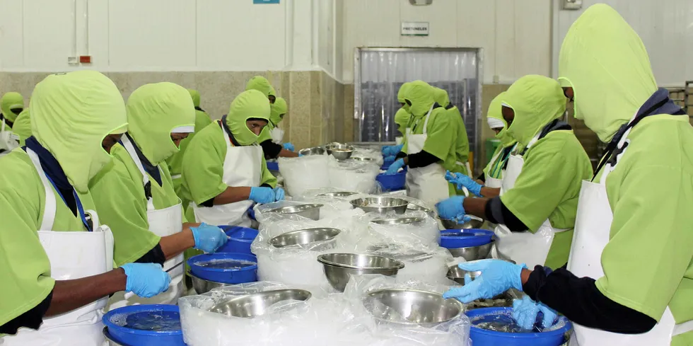 Ecuadorian shrimp is the latest victim in China's import investigation links to COVID-19.