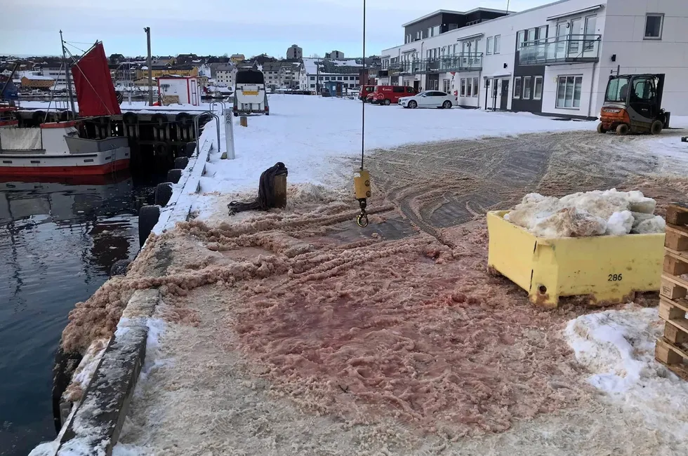 Blodsøl er å forventes på et fiskemottak, mener Mattilsynet