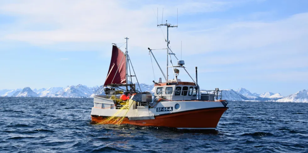 «Brufjord» leverte 1064 kilo torsk til Nergård Sørøya torsdag. Her fra fiskefeltet i fjor.