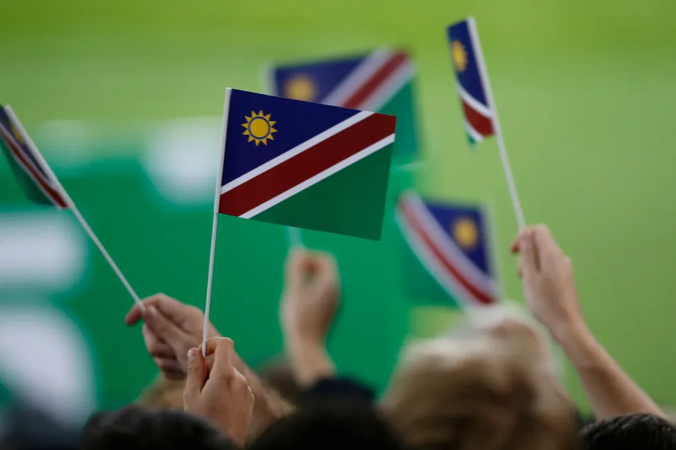 Namibia rugby fans with flags.