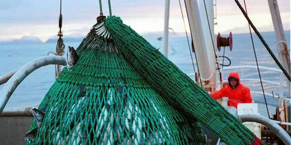 Forskere ved Nofima mener det bør vurderes å forby snurrevadfiske uten fangstbegrensing og sekkutløser.Ill.foto: Lars A. Oma