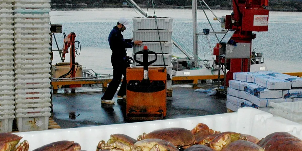 KLAR FOR NY SESONG: Krabbefiskerne er begynt å rigge seg for en ny sesong. HitraMat har god tro på at en skal klare å matche fjorårets kvantum.