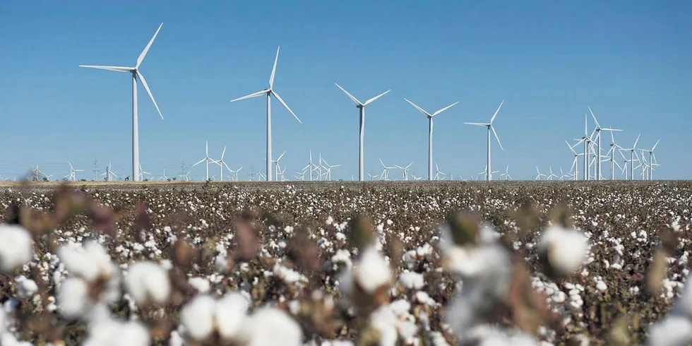 NextEra's Horse Hollow wind farm in Texas