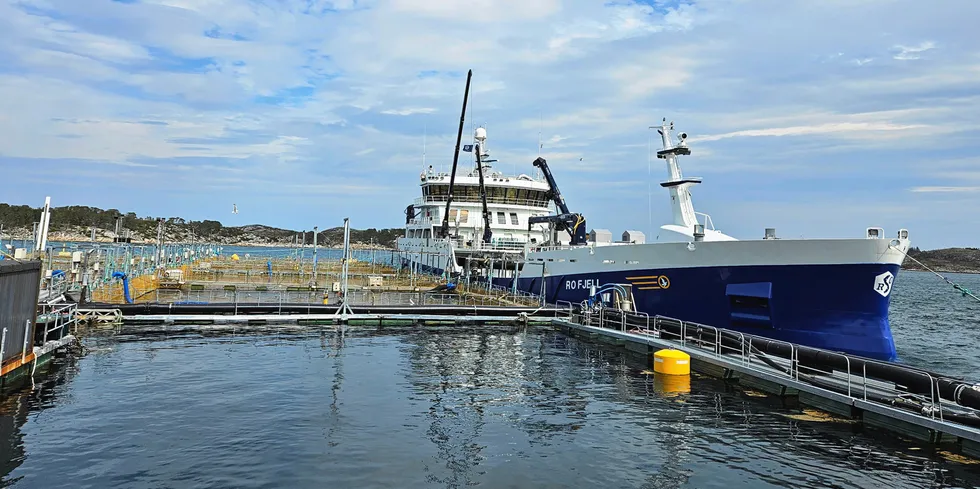 Brønnbåten «Ro Fjell» fra Rostein ved ventemerd uten for Salmar sitt slakteri på Frøya