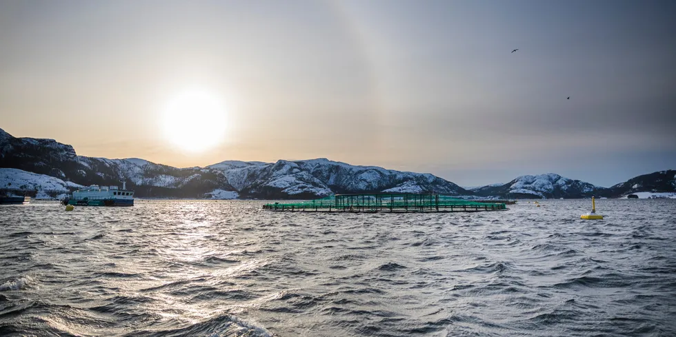 Illustrasjonsfoto fra et av anleggene til Salmonor, som nå er en del av Salmar.