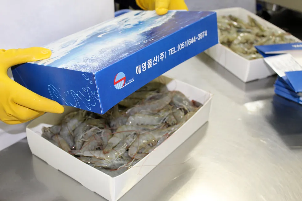 Ecuadorian shrimp exports to the United States and Europe offset lower demand from China in the first half of 2024.