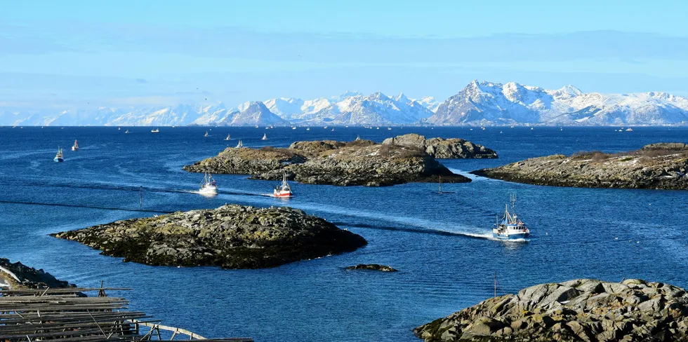 FELT PÅ PLASS: Her på Henningsværstraumen, innafor fjordlinja, ligger den minste snurrevadflåtens henstillingsområde.