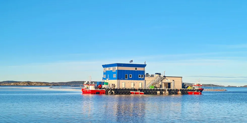 Lerøy Midt sin lokalitet Storskogøya ligger rett ved «lakseveien» på Fastlands-Hitra. Lokaliteten har både ordinære tillatelser og en visningstillatelse.