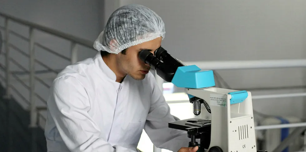 A technician examines samples under a microscope.