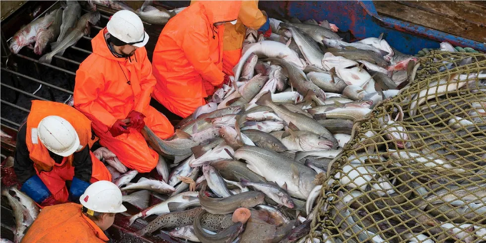 The US ban on Russian seafood imports does not have enough teeth to stop all imports, some in the seafood industry say.