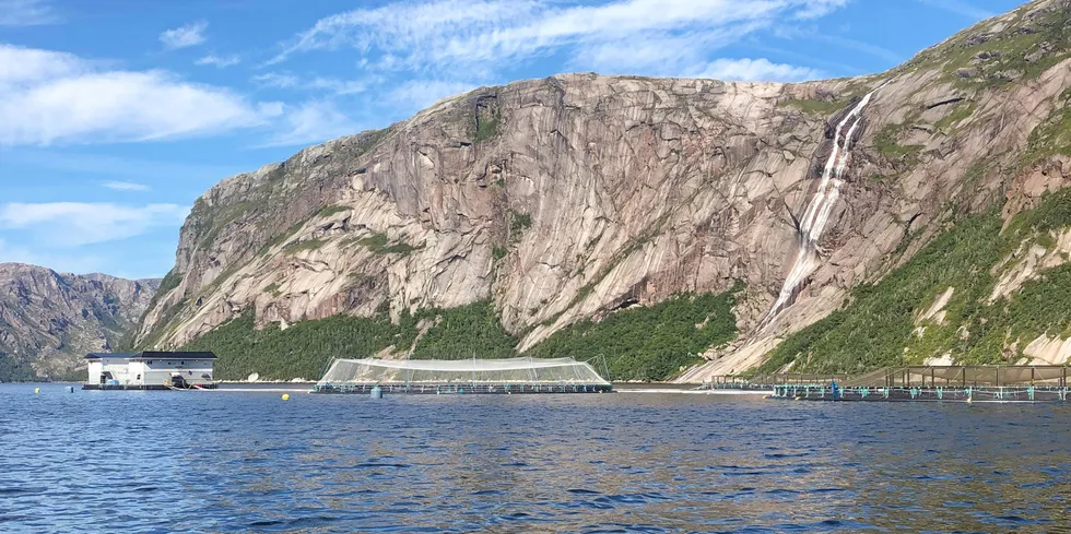 Mowi har oppdrettsanlegg i området The Gorge i Newfoundland og Labrador.