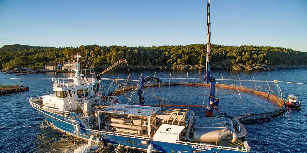 Eva Elisabeth – Bremnes Seashores båt for avlusning med Thermolicer. I desember veltet den ved dokk på Karmøy. Det ble IntraFishs mest leste sak i 2017.