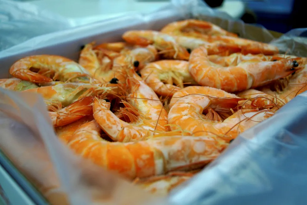 Frozen vannamei shrimp.