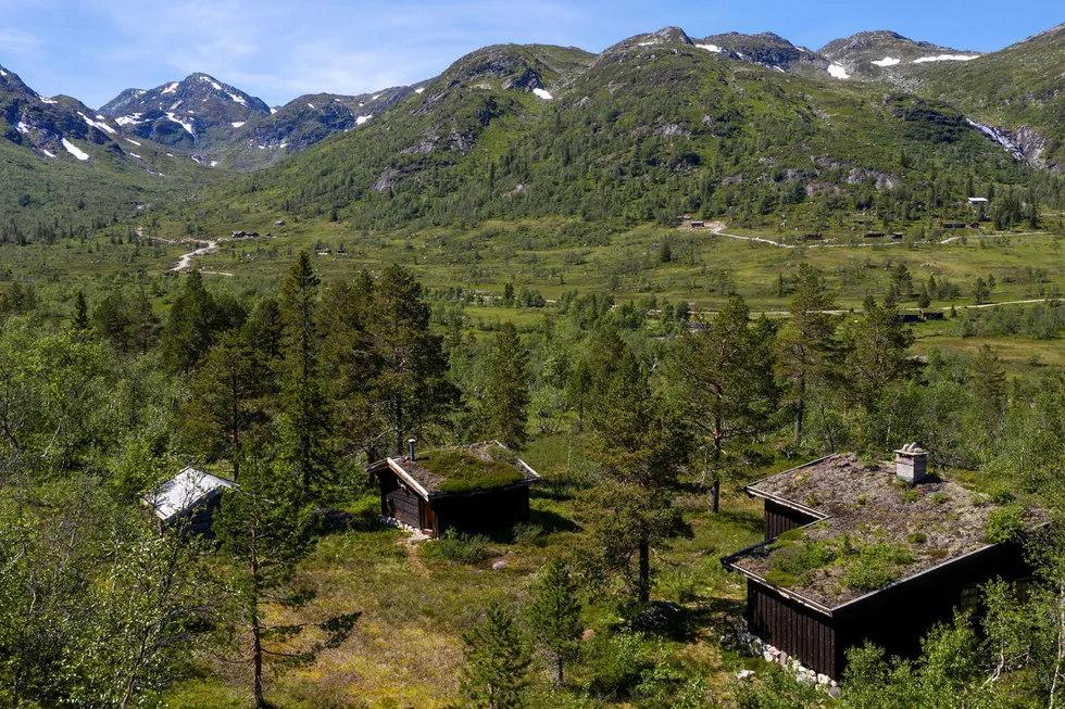«Nystøyl» er et av to hyttetun som inngår i fjelleiendommen brødrene Gunnar Frederik og Olav Hindahl Selvaag har gitt 11 millioner kroner for.