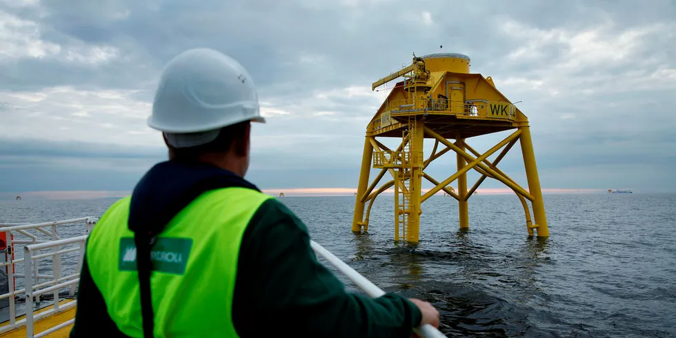 Iberdrola's Wikinger project in the Baltic Sea, the latest to join Europe's offshore wind fleet. Pic: Iberdrola