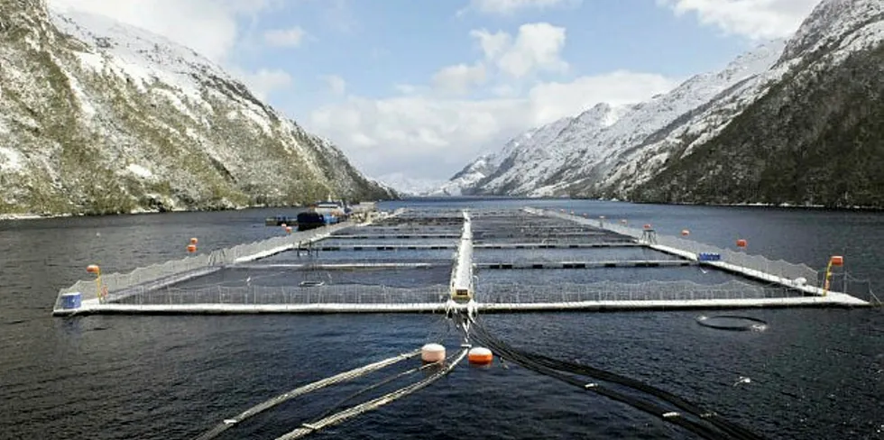 Nova Austral driver lakseproduksjon helt sør i Chile.