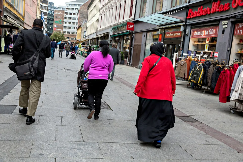 Stor forskjell i nordmenns syn på innvandring. Foto: Aleksander Nordahl