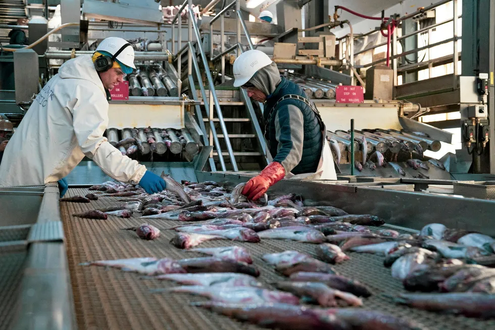 Decisions are currently being made over the Alaska pollock fishing quota.