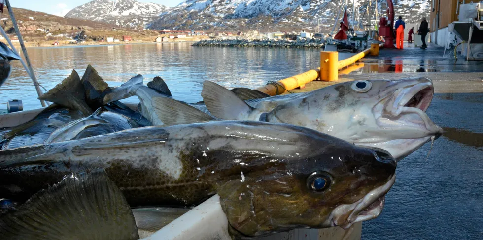Pandemien har rammet markedene for torsk hardt. Tall fra Sjømatrådet viser at det har gått mest ut over produkter som fersk filet, klippfisk, skrei og tørrfisk.