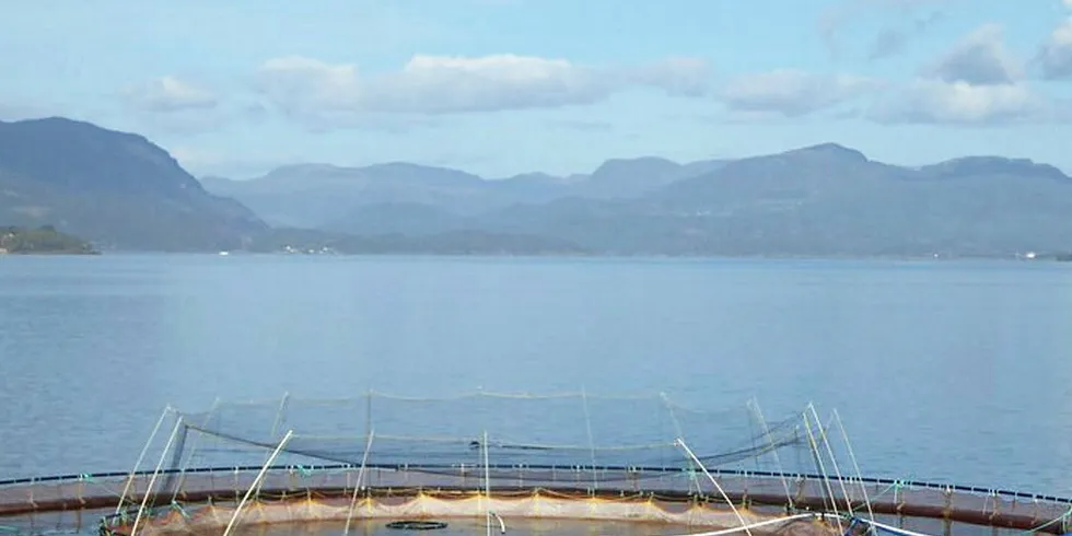 Snorkelmerden er utviklet av Havforskningsinstituttet og kommersialisert av Egersund Net.