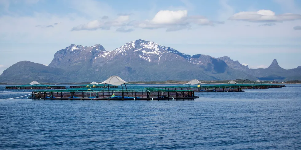 Illustrasjonsfoto fra en annen Cermaq-lokalitet