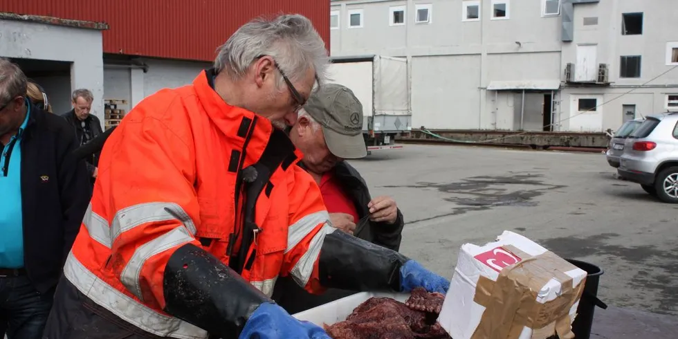 Selfangstskuta «Havsel» kom med kobbekjøtt til Tromsø denne uken, til stor glede for folk på kaia. Etterspørselen var større enn det var kjøtt å fordele. Her hvalfanger Bjørne Kvernmo. Arkivfoto: Jørn Mikael Hagen.