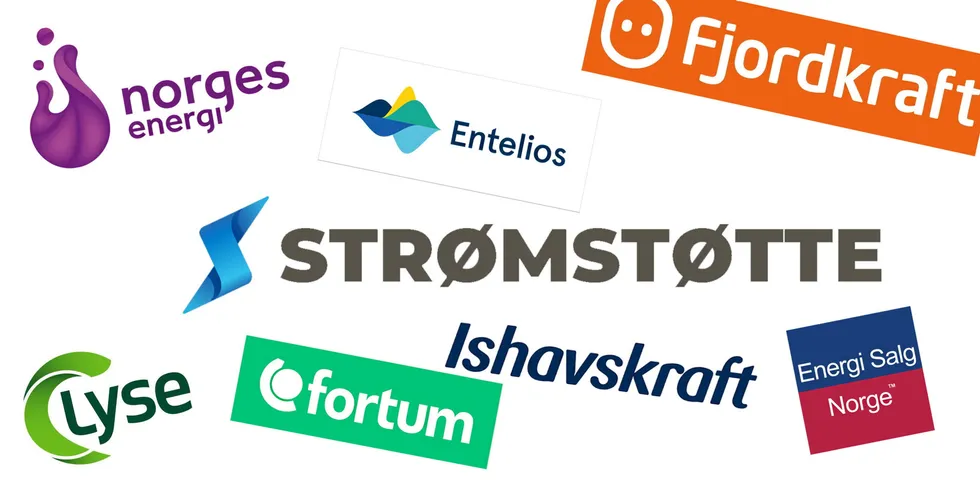 Strømstøtte hevder selskapet jakter på beste avtale for bedrifter. Men sju av de største selskapene i Norge sier de ikke har gitt tilbud til bedrifter via Strømstøtte.