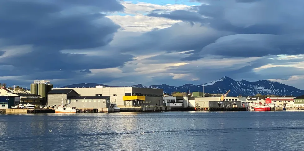 Vi tror dessverre sjansen er stor for at sjøtransporten igjen taper, skriver Atle Andersen, styreleder i Kystalliansen. Bildet er fra Myre havn.