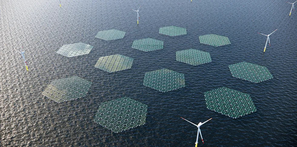 Image of floating solar array within an offshore wind farm
