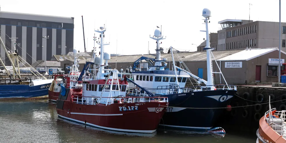 TILGANG: Norge er avhengig av å få tilgang til britiske farvann for å ta viktige fiskebestander. Her fra Peterhead havn der mange av de skotsk trålerne og snurrevadbåtene holder til, som også fisker hvitfisk i norsk sone.