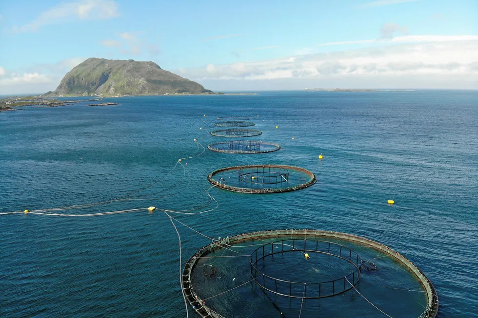 Net pens aren't going away any time soon, Mowi Chairman Ole-Eirik Leroy said at the IntraFish Seafood Investor Forum in London on Sept. 19.