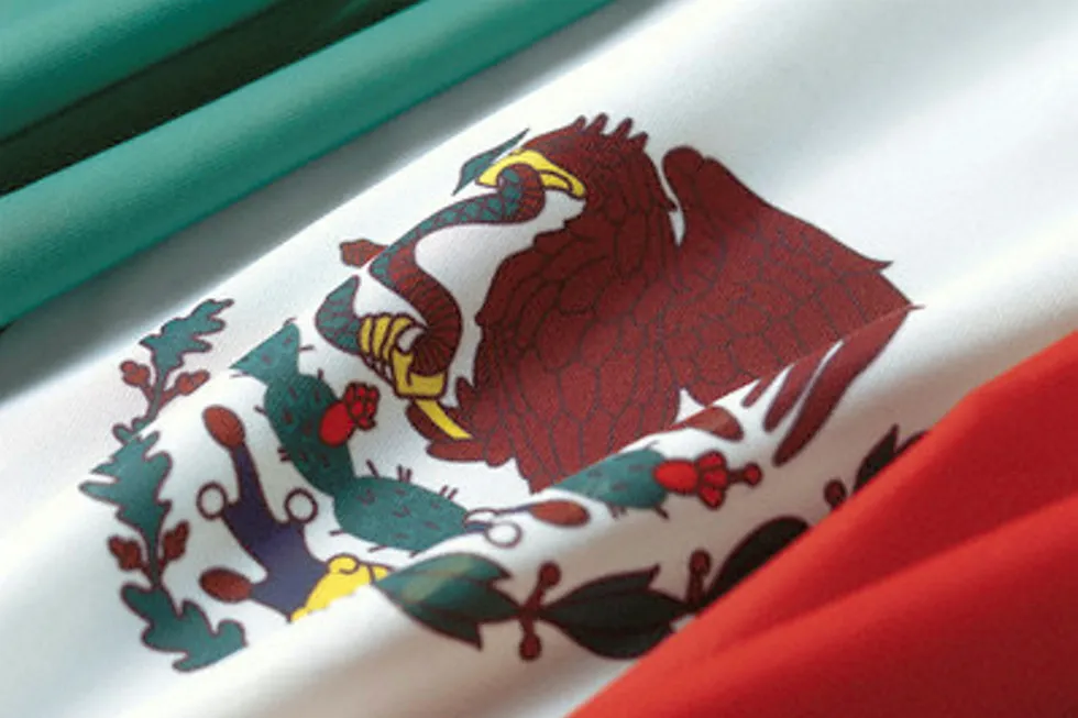 Looking for block nominations: Mexico rounds on the horizon