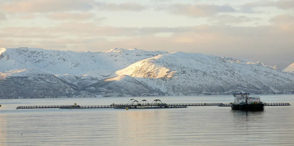 Høyt nord er marginene høyest. Illustrasjonsfoto fra Alta i Finnmark.