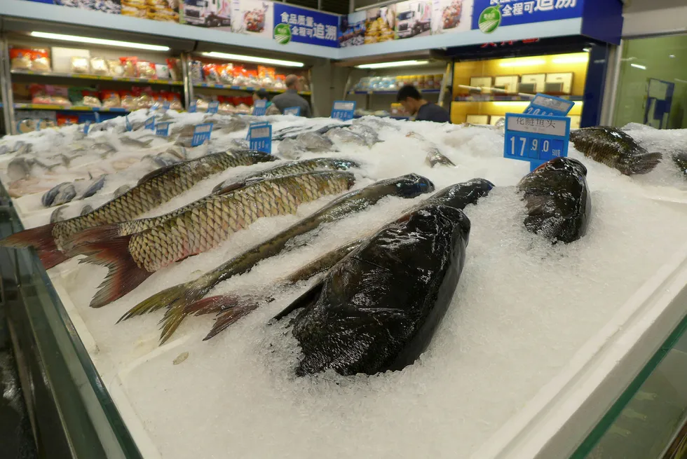 Fish on display at Metro in Shanghai.