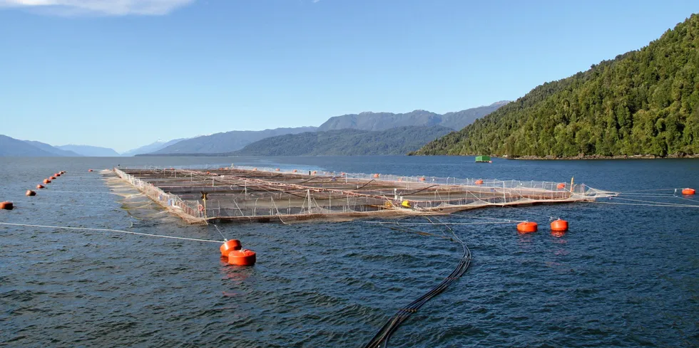 Chile's Aysen region has been hit by low oksygen levels and harmful algal blooms (HAB), fisheries and Aquaculture service Sernapesca reported.