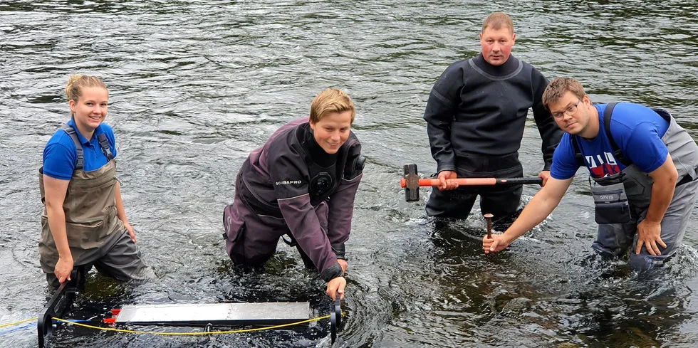 Kaja Christine A. Fjeldheim, William Aure Aannø, Rimas Petrauskas og Per Tommy Fjeldheim monterer kameratunell ved feltstasjonen. Med kameratunellen sine 4 kamera blir det generert bildebasar som er grunnlaget for utvikling av maskinsyn og i neste omgang automatisk identifisering og måling av rømlingar, villaks, sjøaure og pukkellaks.