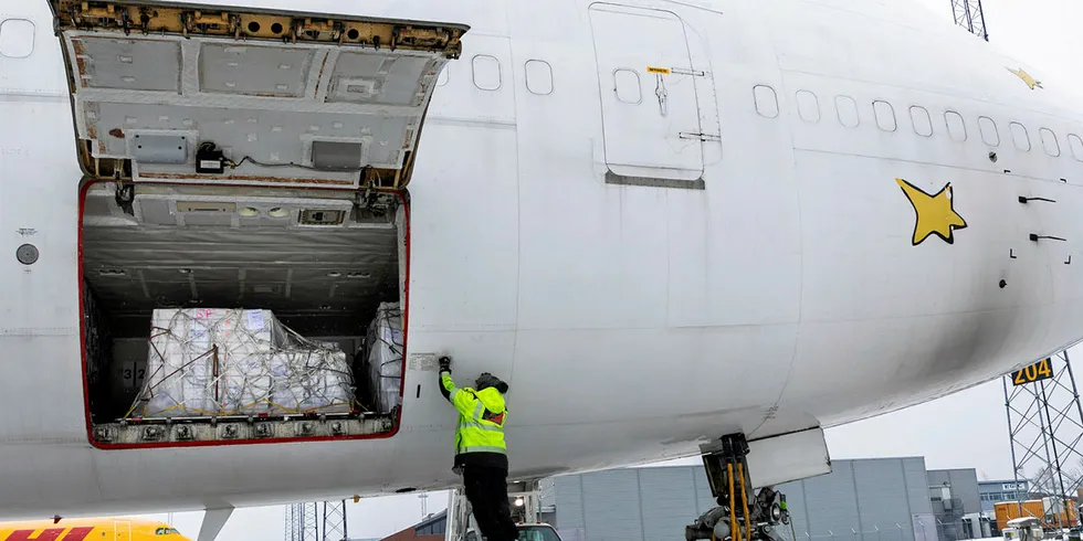 KINALAKS: Det kinesiske storselskapet Fish Forever vil trolig fly minst 7000 tonn laks direkte fra Norge til Kina i år. I første omgang går frakten fra Garedermoen, men selskapet snuser også på Evenes i Nordland, men her er det uklart om flyplassen kan håndtere et så stort fly som en Boeing 747–400 cargo. Her ser vi den siste av 14 paller med norsk laks er på plass i jumbo-jeten som torsdag fløy til Kina.